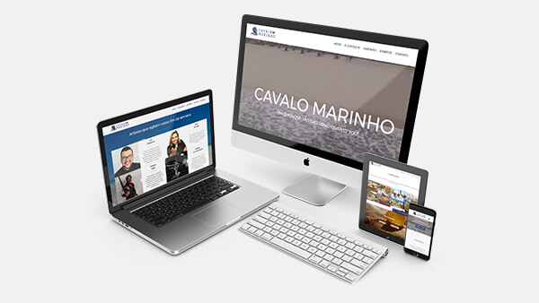 cartão de visitas da cavalo marinho